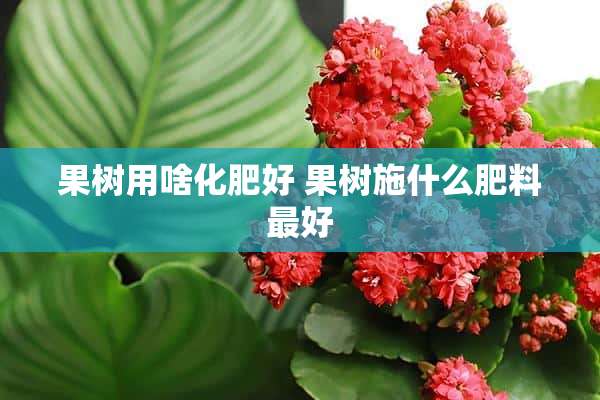 果树用啥化肥好 果树施什么肥料最好