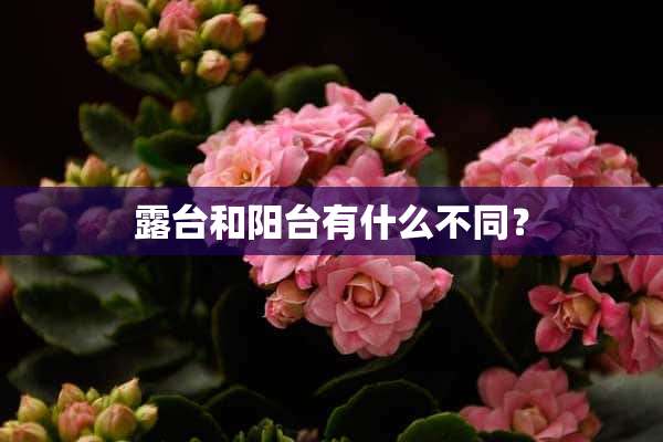 露台和阳台有什么不同？