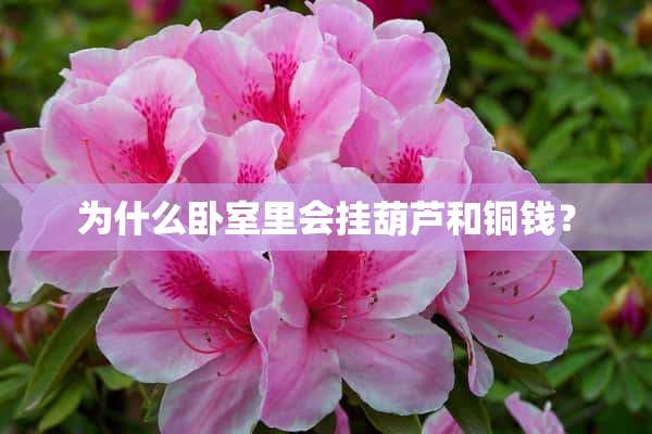 为什么卧室里会挂葫芦和铜钱？