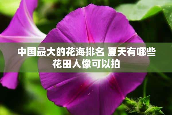 中国最大的花海排名 夏天有哪些花田人像可以拍