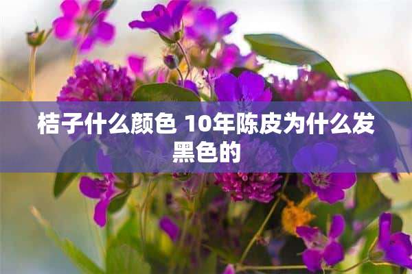 桔子什么颜色 10年陈皮为什么发黑色的