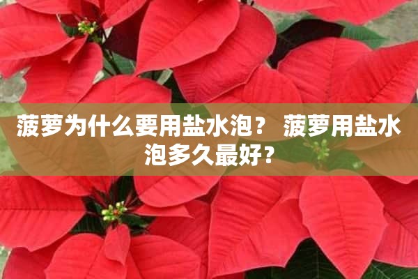 菠萝为什么要用盐水泡？ 菠萝用盐水泡多久最好？