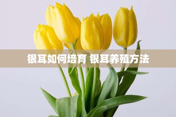 银耳如何培育 银耳养殖方法