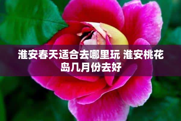 淮安春天适合去哪里玩 淮安桃花岛几月份去好