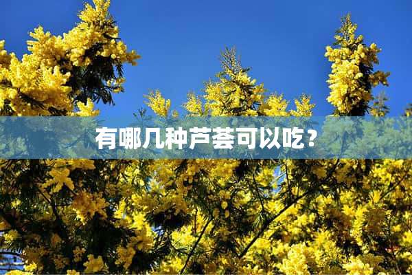 有哪几种芦荟可以吃？