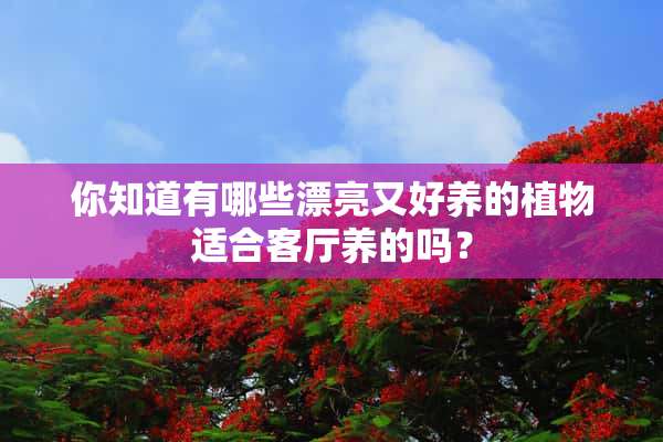 你知道有哪些漂亮又好养的植物适合客厅养的吗？