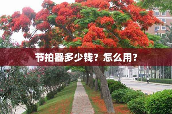 节拍器多少钱？怎么用？