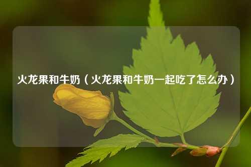 火龙果和牛奶（火龙果和牛奶一起吃了怎么办） 花卉