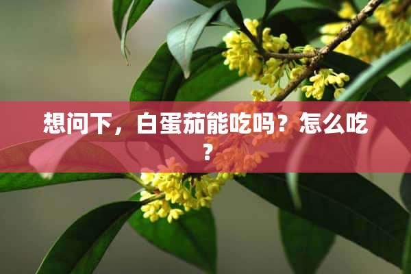 想问下，白蛋茄能吃吗？怎么吃？