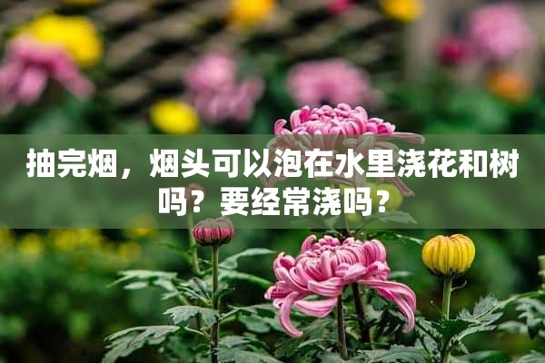 抽完烟，烟头可以泡在水里浇花和树吗？要经常浇吗？