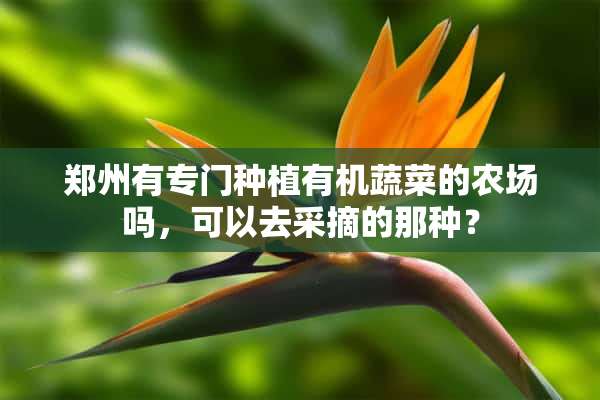 郑州有专门种植有机蔬菜的农场吗，可以去采摘的那种？