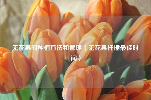 无花果的种植方法和管理（无花果扦插最佳时间） 花卉