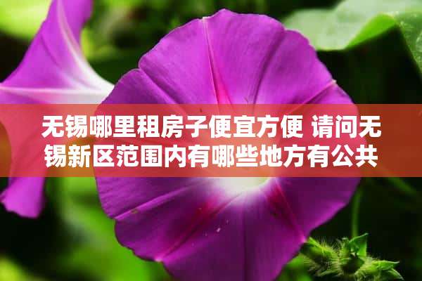 无锡哪里租房子便宜方便 请问无锡新区范围内有哪些地方有公共自行车租赁点啊