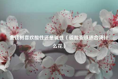 金钱树喜欢酸性还是碱性（硫酸亚铁适合浇什么花） 花卉