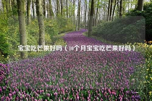 宝宝吃芒果好吗（10个月宝宝吃芒果好吗）