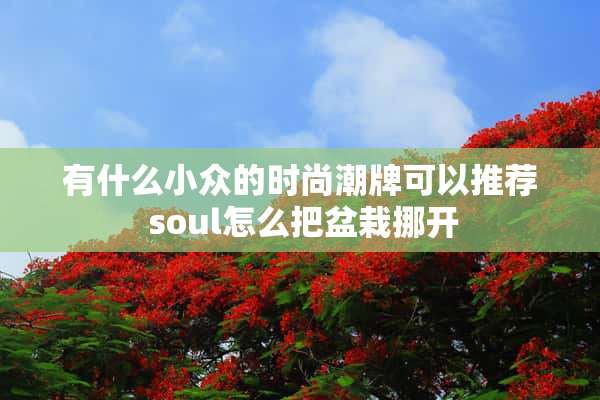 有什么小众的时尚潮牌可以推荐 soul怎么把盆栽挪开