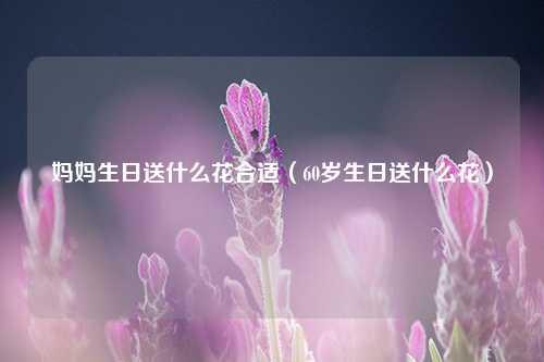 妈妈生日送什么花合适（60岁生日送什么花） 花卉