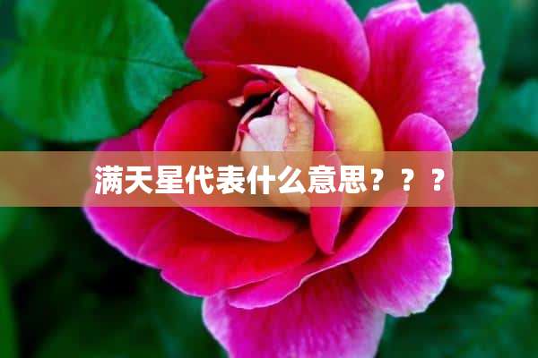 满天星代表什么意思？？？