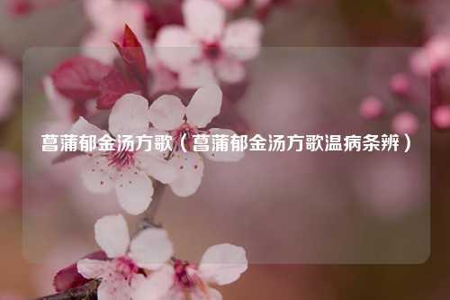 菖蒲郁金汤方歌（菖蒲郁金汤方歌温病条辨） 花卉