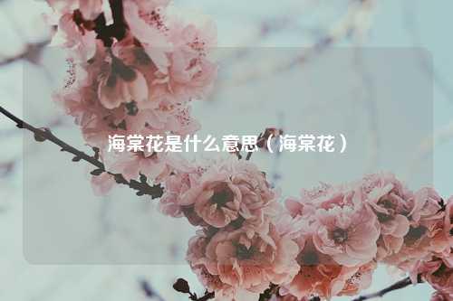 海棠花是什么意思（海棠花）