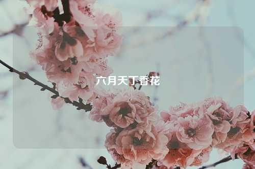 六月天丁香花