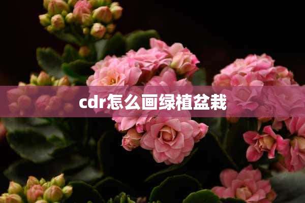 cdr怎么画绿植盆栽