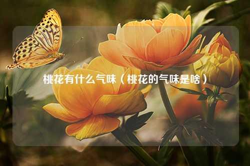 桃花有什么气味（桃花的气味是啥） 花卉