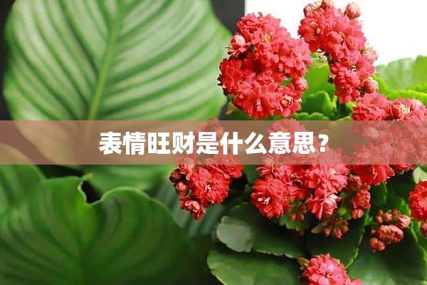 表情旺财是什么意思？