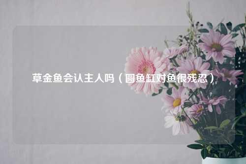 草金鱼会认主人吗（圆鱼缸对鱼很残忍） 花卉