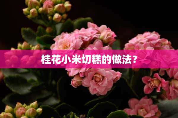 桂花小米切糕的做法？