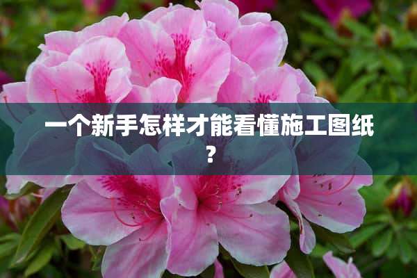 一个新手怎样才能看懂施工图纸？