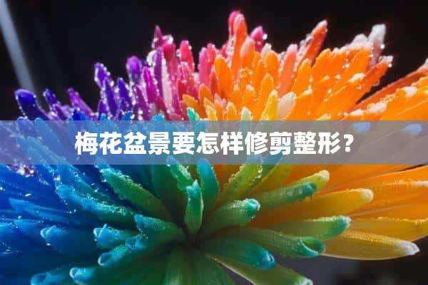 梅花盆景要怎样修剪整形？