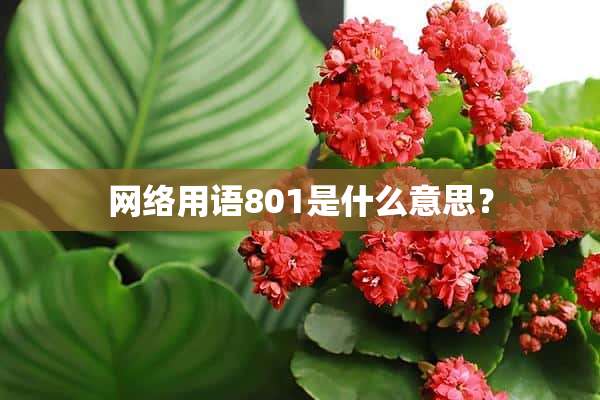 网络用语801是什么意思？