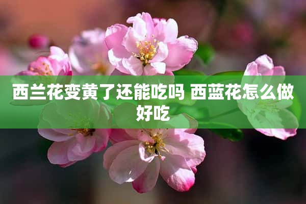 西兰花变黄了还能吃吗 西蓝花怎么做好吃