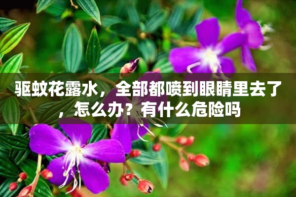 驱蚊花露水，全部都喷到眼睛里去了，怎么办？有什么危险吗