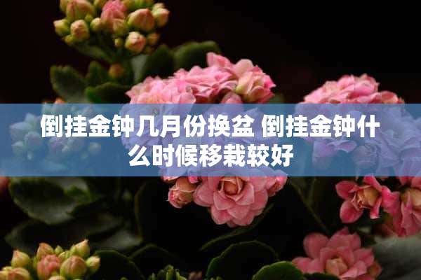 倒挂金钟几月份换盆 倒挂金钟什么时候移栽较好