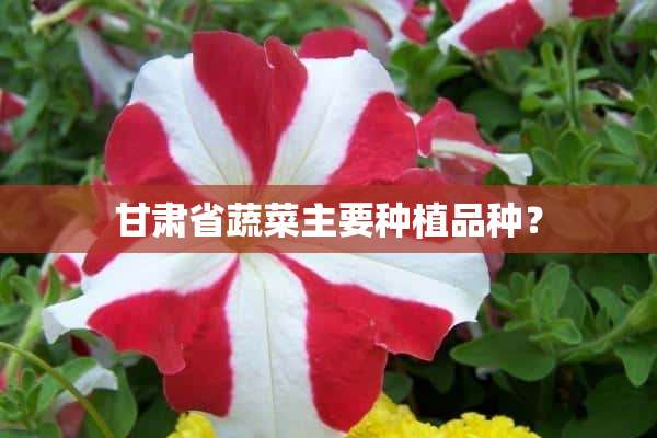 甘肃省蔬菜主要种植品种？