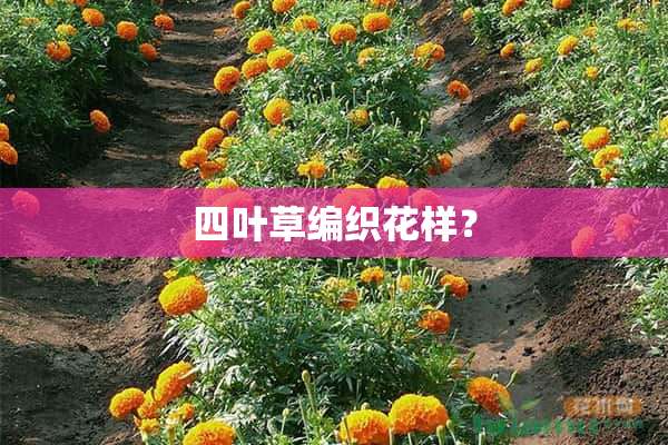 四叶草编织花样？