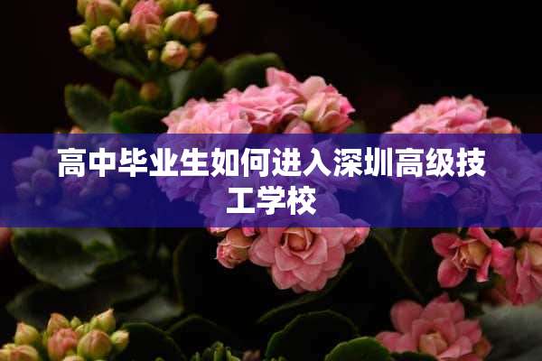 高中毕业生如何进入深圳高级技工学校