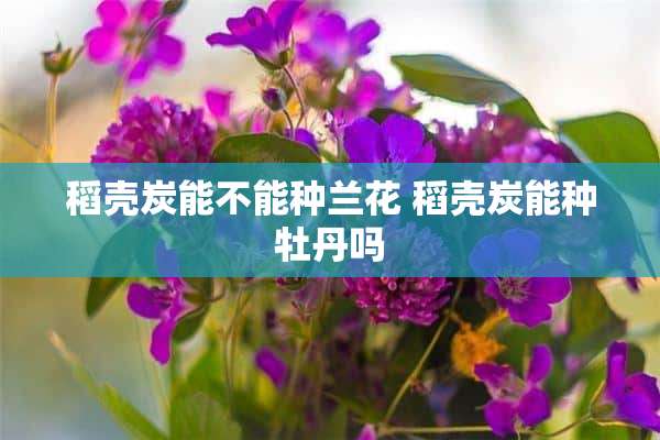 稻壳炭能不能种兰花 稻壳炭能种牡丹吗