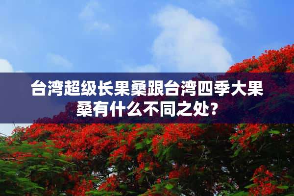 台湾超级长果桑跟台湾四季大果桑有什么不同之处？