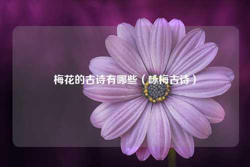 梅花的古诗有哪些（咏梅古诗） 花卉