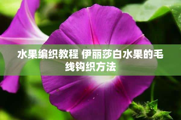 水果编织教程 伊丽莎白水果的毛线钩织方法