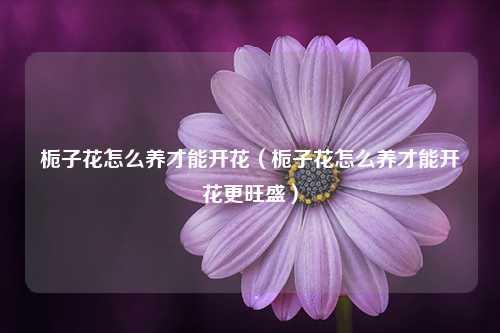 栀子花怎么养才能开花（栀子花怎么养才能开花更旺盛）