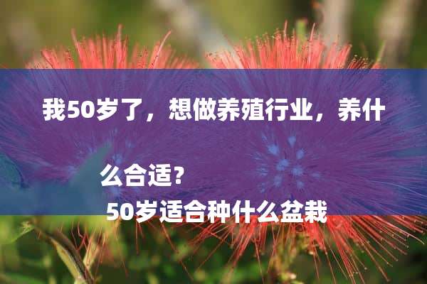 我50岁了，想做养殖行业，养什么合适？
 50岁适合种什么盆栽