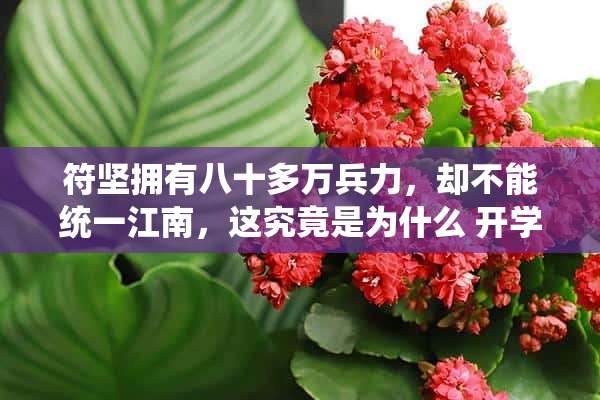 符坚拥有八十多万兵力，却不能统一江南，这究竟是为什么 开学带侄女报到，发现大学周边全是宾馆；侄女貌美如花，好担心“鲜花插在牛粪上”怎么办