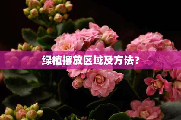 绿植摆放区域及方法？