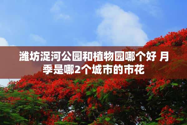 潍坊浞河公园和植物园哪个好 月季是哪2个城市的市花