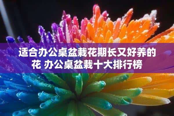 适合办公桌盆栽花期长又好养的花 办公桌盆栽十大排行榜