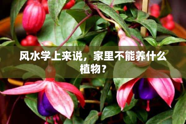 风水学上来说，家里不能养什么植物？